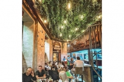 128 dekoracije veštačkim lozicama